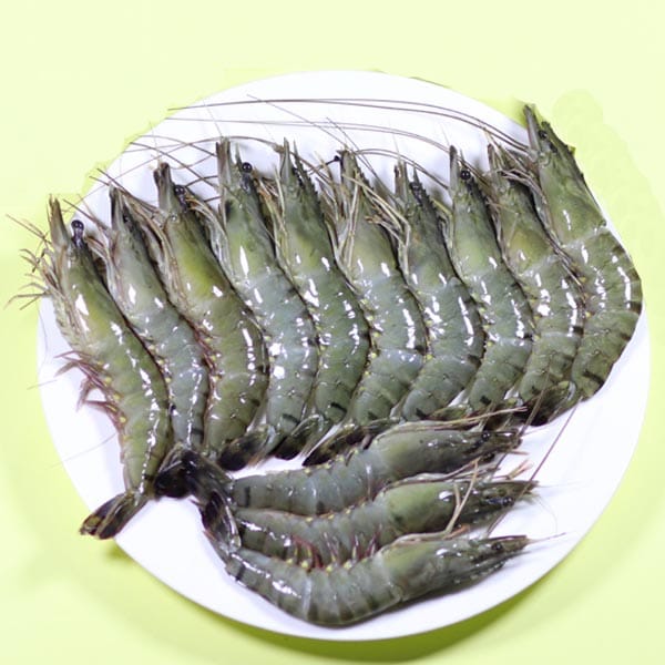 Bagdha Chingri (বাগদা চিংড়ি)