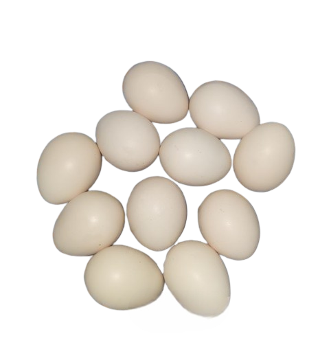 RZ FARMS-Egg -(Deshi Murgir Dim)-দেশী মুরগির ডিম