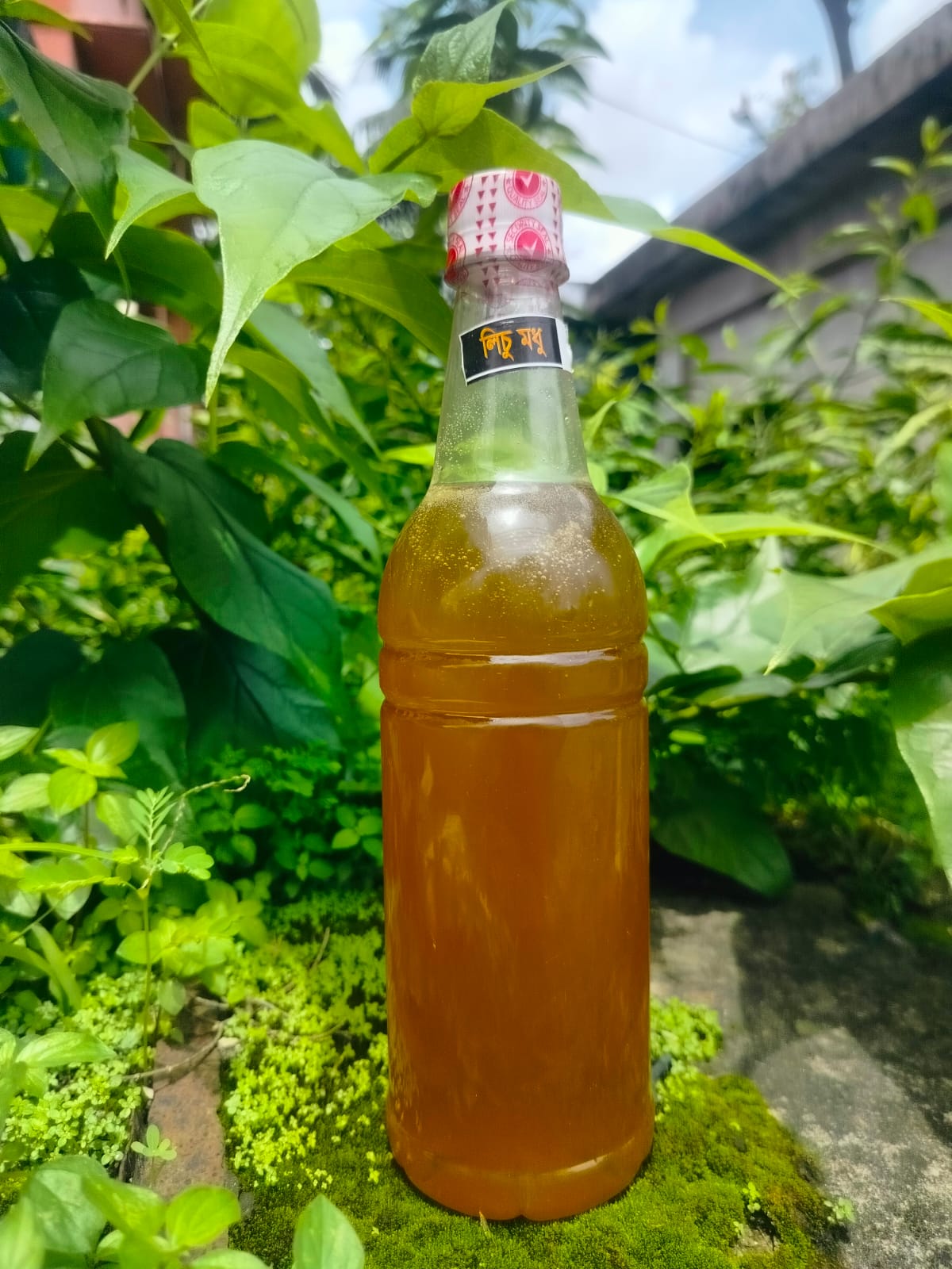 Sundarban Khalisha Flower Honey (সুন্দরবনের খলিশা  ফুলের  মধু )