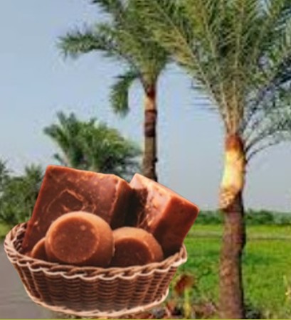 Borendro _ Date Pulm Jaggery  Patali Gur ( খেজুরের গুড় পাটালি গুড়)